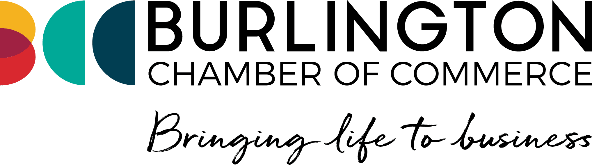 Bin There Dump That Burlington