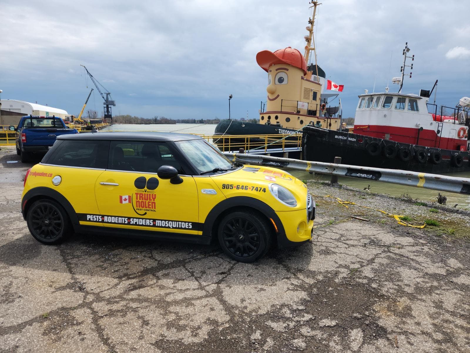 Truly Nolen Pest Control & Exterminators Niagara