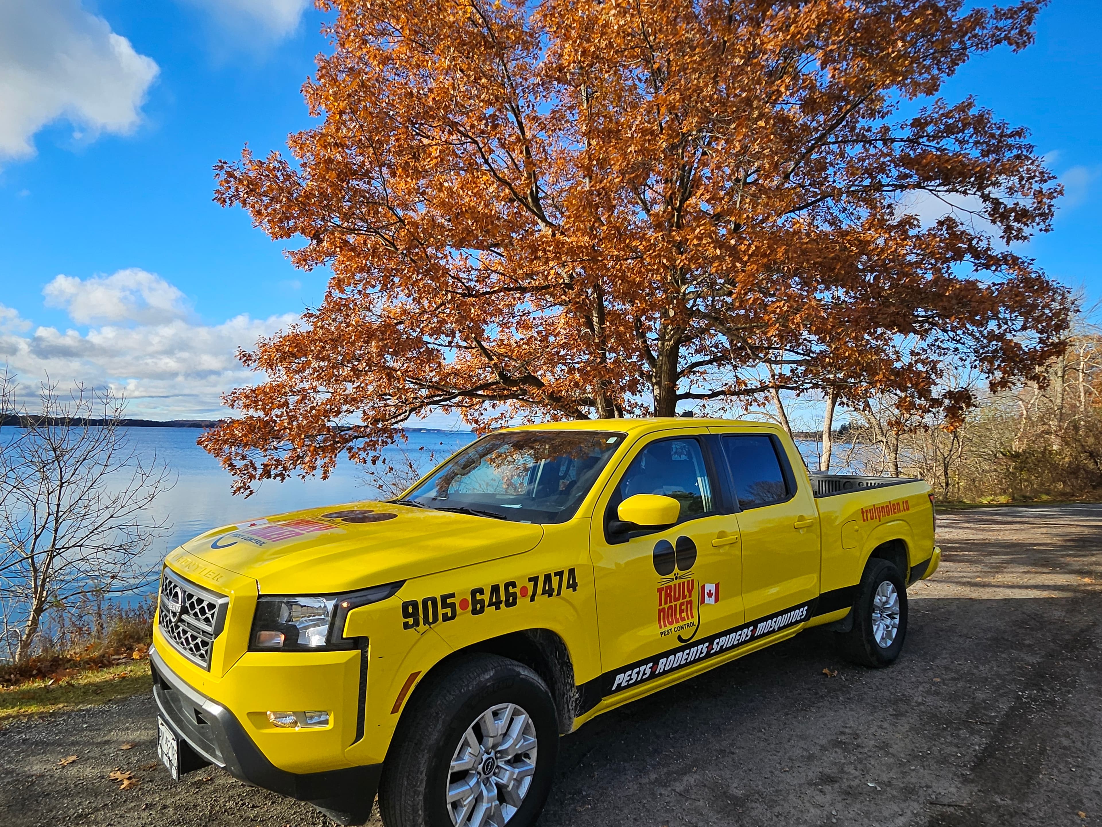 Truly Nolen Pest Control & Exterminators Niagara