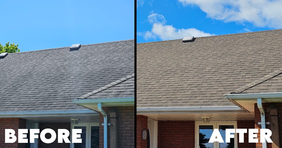 Mercer's Softwash & Power Clean Inc.